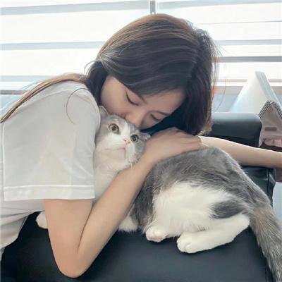 妖怪图鉴